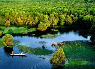 Tour du lịch Miền Tây – Top 18 địa điểm hấp dẫn du khách nhất Rừng Tràm Trà Sư - An Giang