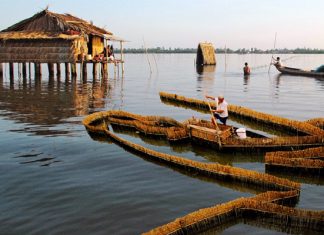 Khám phá biển hồ giữa chốn đồng bằng tại Đầm Thị Tường Cà Mau Thưởng thức cảnh đẹp sông nước Cà Mau tại Đầm Thị Tường